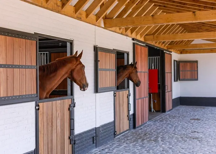 Lady - Charming double room at ranch De Blauwe Zaal Brugge